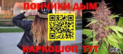 apvp Гагарин